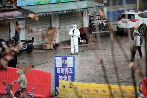 Domestic air travel recovers in Wuhan, China