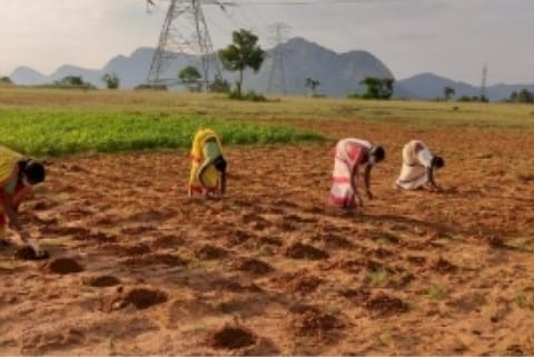 Andhra to drill borewells for needy farmers under YSR Jala Kala