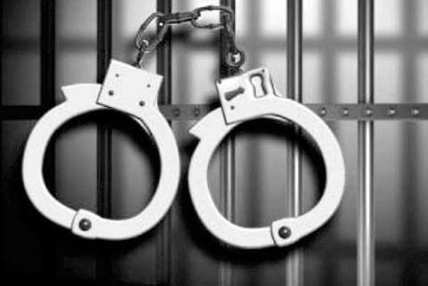 Espionage case: Freelance journalist, two others sent to judicial custody