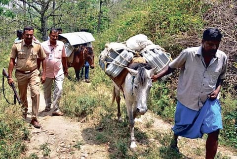 Donkeys take EVMs to hill hamlets