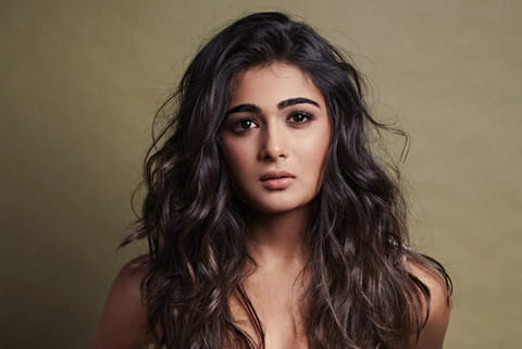 Shalini Pandey (File Photo)