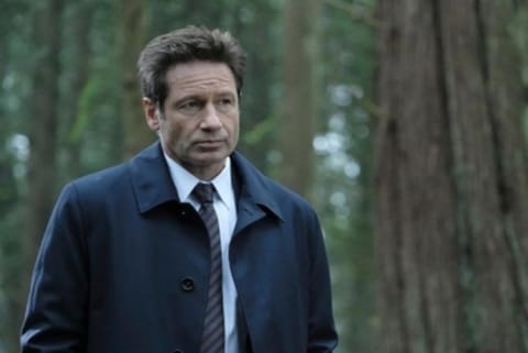 David Duchovny