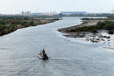 Kosasthalaiyar river. File photo