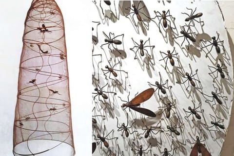 Sculptures that will be displayed at the exhibition