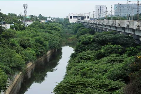 Buckingham Canal (File Photo)