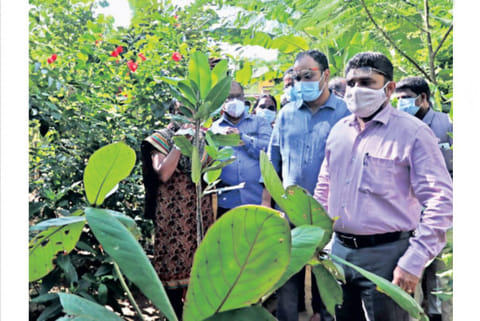 Commissioner G Prakash, Regional DC (South) Alby John at Kotturpuram Miyawaki forest 1st anniversary