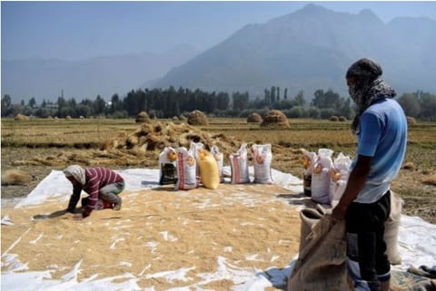 Source: Reuters; Vietnam Buys Indian Rice For First Time In Decades