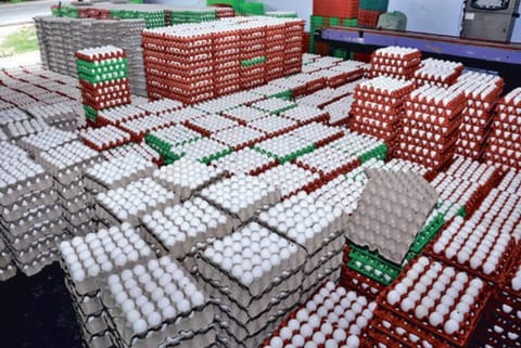 Eggs kept at a poultry in Namakkal