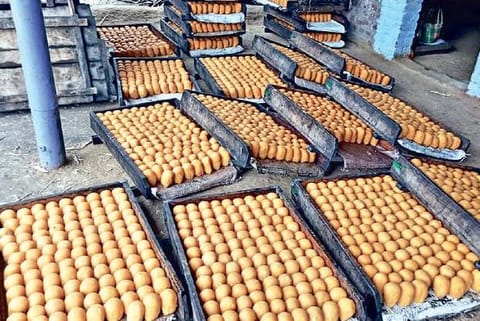 Jaggery production going on in a big way at a manufacturing unit in Salem
