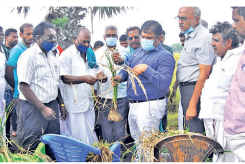 Team lead by Velayudham, Joint Director (State Projects) conducting an assessment in Nagai