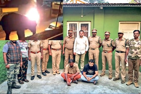 The arrested culprits and the viral video of the elephant being hurt with flammable materials