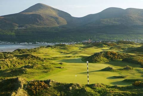 Terra Firma: The hills are alive with the flow of physics