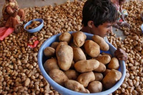 WayCool commits 5 mn dollar investment in SV Agri