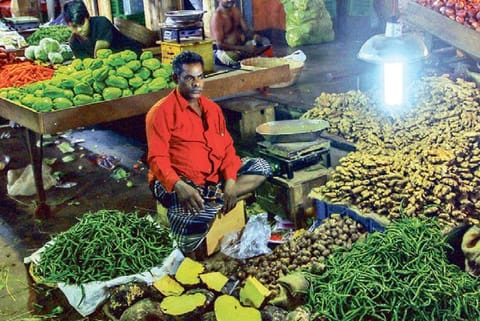 Veggie prices fall again, to remain low for one week