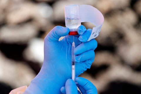 Doctors bust myths around vaccine