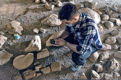 Decolonising the hunt for dinosaurs, other fossils