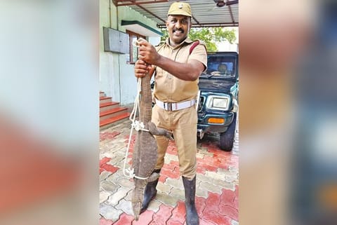 The Fire and Rescue Services personnel with the Monitor Lizard.
