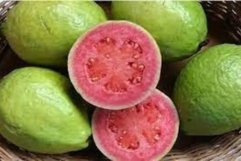 Image Courtesy: IANS