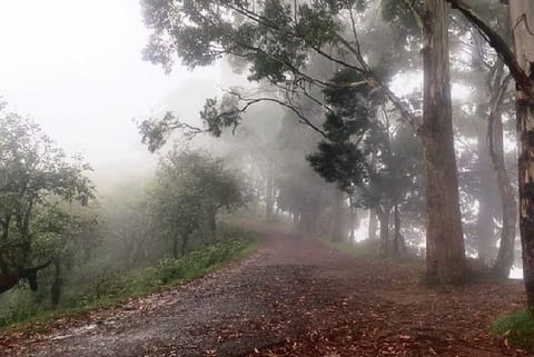 Kodaikanal (File Photo)