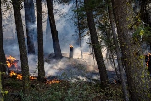 Image Courtesy: IANS