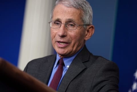 Dr Fauci. File photo