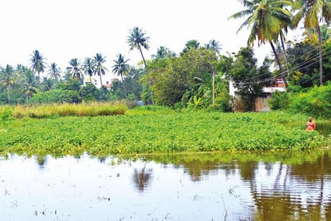 Surplus water on Vellore?Bengaluru highway flowed out inundating 10 acres of brinjal and groundnut