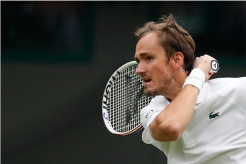 Daniil Medvedev (File Photo)