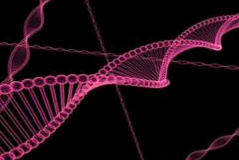Patent law may curb unethical human-genome editing
