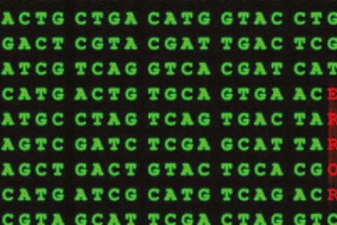 Genetic lottery: Excuse to do nothing or do everything