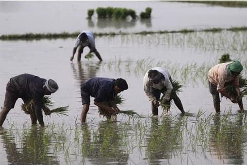 Image Courtesy: PTI