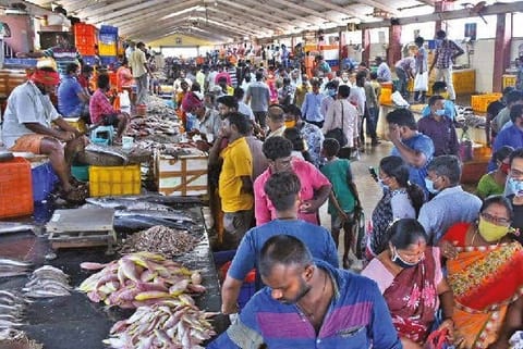 Kasimedu Fish Market (File Photo)