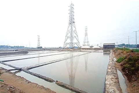 An inundated salt pan in Thoothukudi (File Photo)