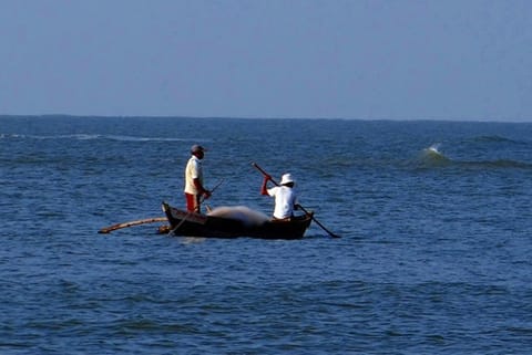 Representative image (Source: ANI)