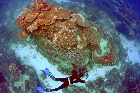 Representative Image for underwater