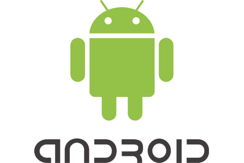 A human male robot is called Andriod. This is called Bugdroid.