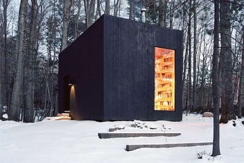 Secret library in woods is every bookworm’s dream come true