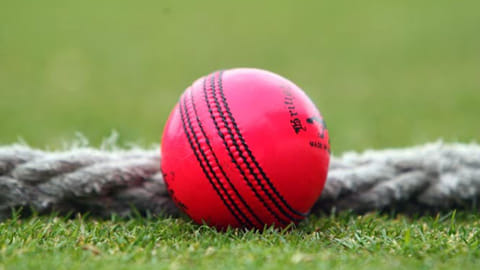 Pink ball