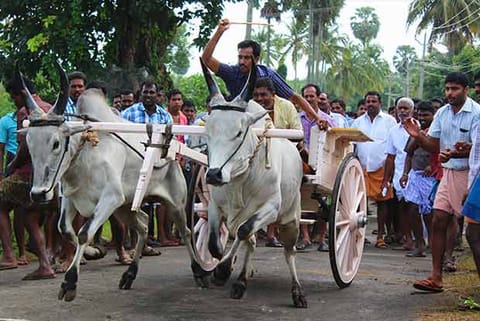 File photo of Rekla races conducted at Pethappampatti