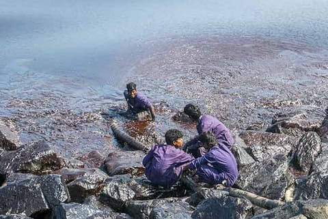 File photo of the Ennore oil spill