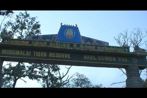 Mudumalai Tiger Reserve