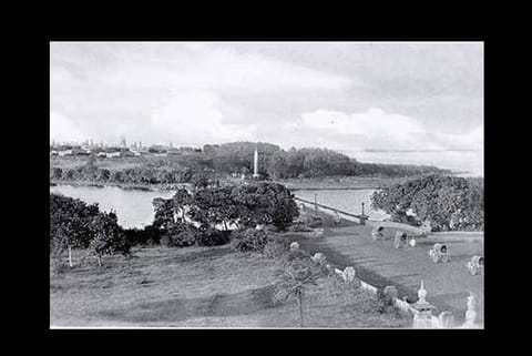 Picture of the Napier bridge from the year 1895