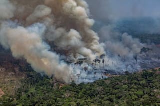 Who is setting fire to the Amazon?