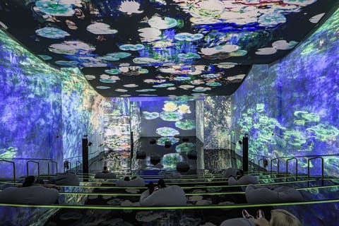 Skip the heat and step into Dubai’s coolest indoor spaces, from lush biodomes to dazzling digital art shows.