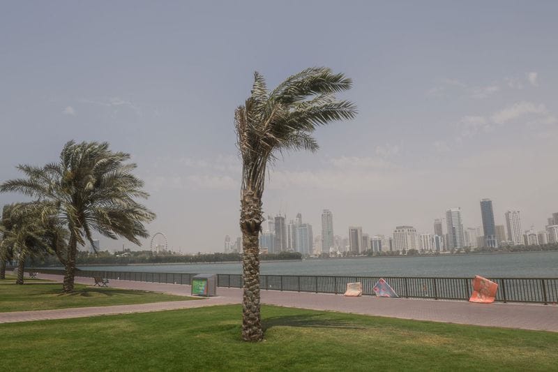 Strong winds, dust storm on Sharjah