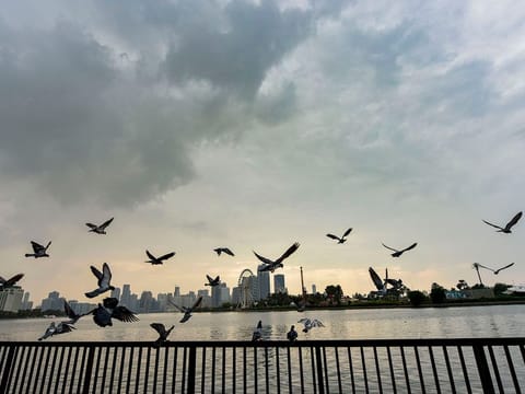 Humidity to rise overnight with misty mornings likely; winds may cause dust and sand across exposed areas as conditions shift midweek.