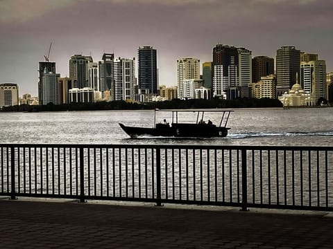 [Al Buhairah Corniche, in Sharjah.] The incident occurred on Tuesday afternoon at the family’s apartment.