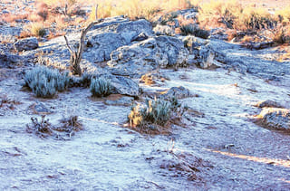 UAE winter 2026: How to stay safe during coldest days of Al Shabt