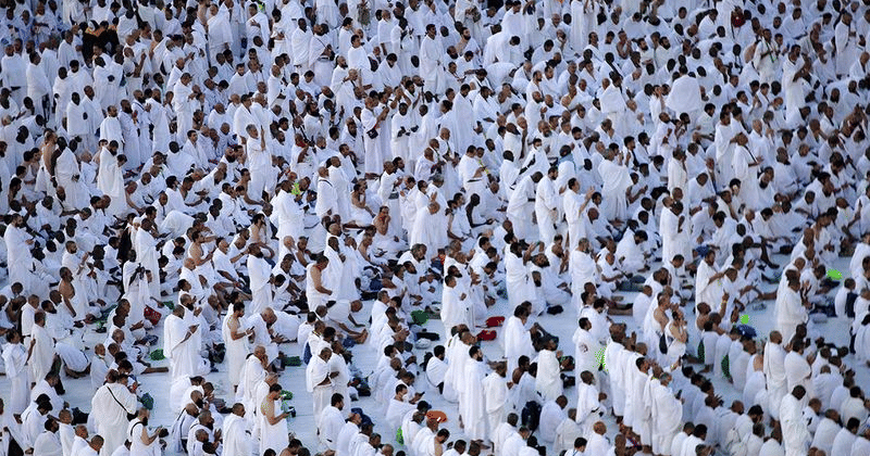 Saudi Arabia warns pilgrims against unauthorised Hajj permits, warns against fake offers