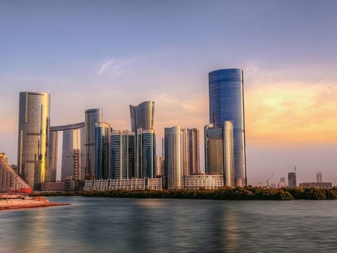 Abu Dhabi's al Reem Island is a high-rise cluster, and Pal Holding has a long-term concession to operate district cooling services. 