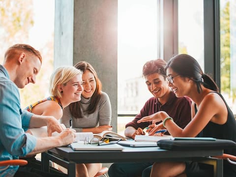 Degrees in business, information technology, engineering, media and design, and humanities are the most popular among students. Picture used for illustrative purposes.